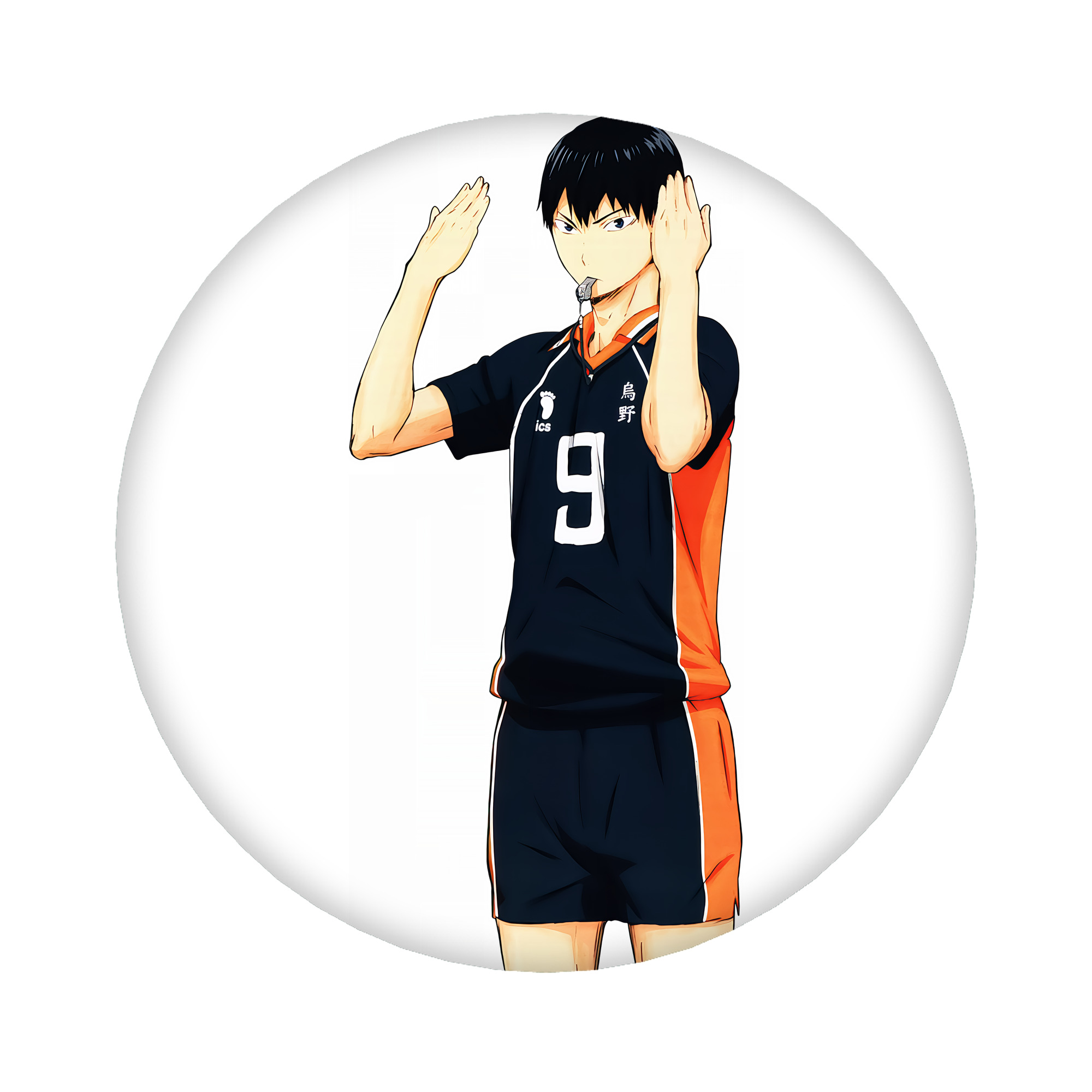 （画像用） ハイキュー!! Haikyu!! 6cm 缶バッジ 複数セット