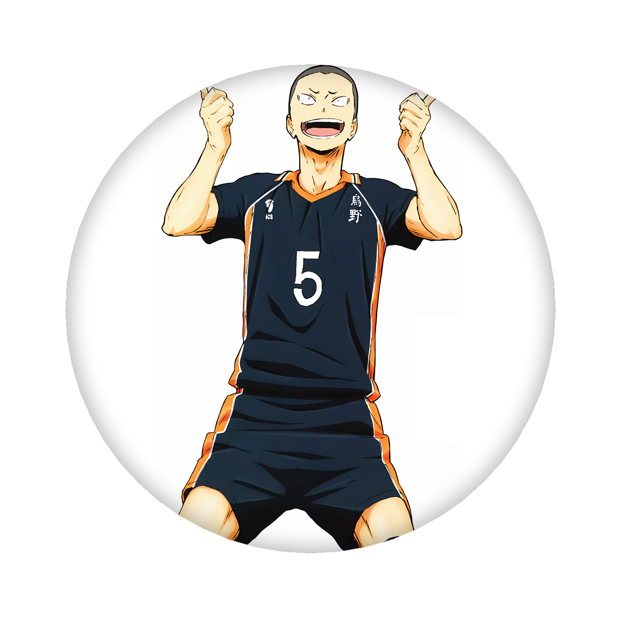 （画像用） ハイキュー!! Haikyu!! 6cm 缶バッジ 複数セット