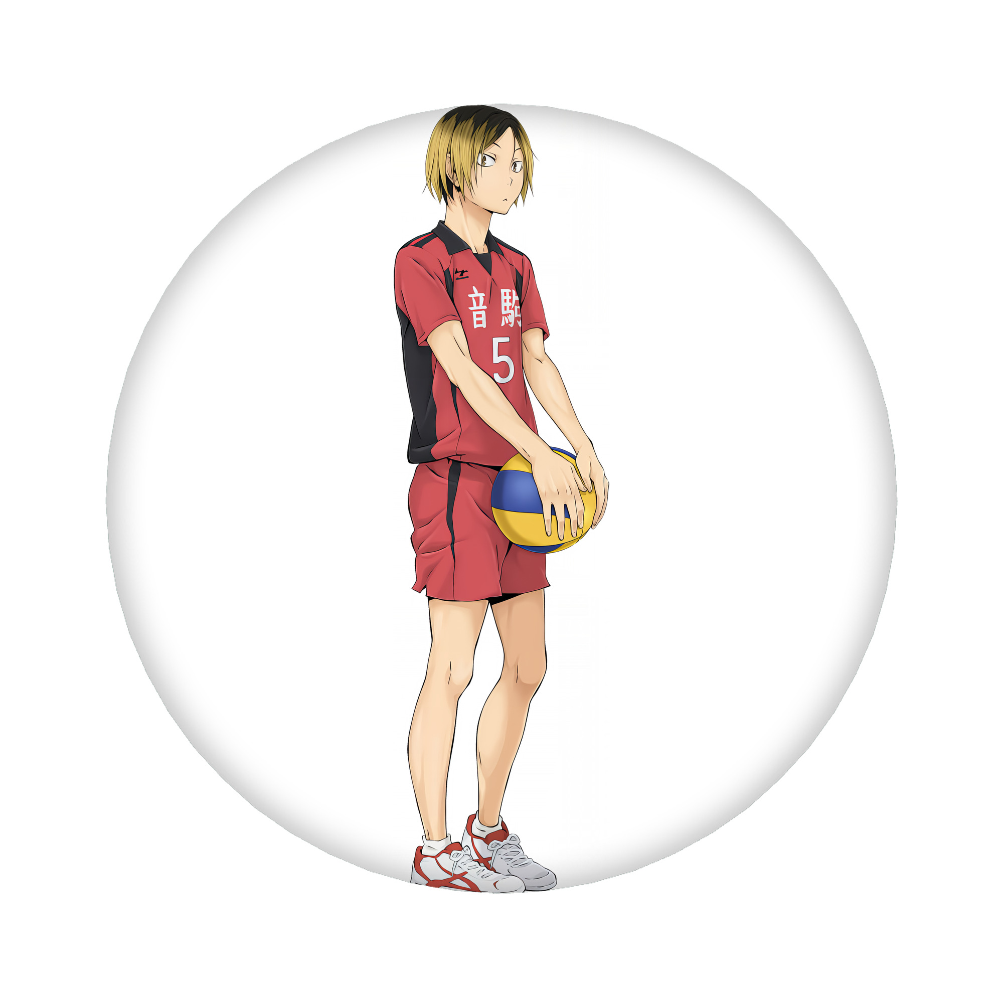 （画像用） ハイキュー!! Haikyu!! 6cm 缶バッジ 複数セット